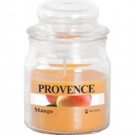 Свеча «Provence» в стеклянном подсвечнике, манго, 565028, 9 см