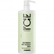 Шампунь для волос «Ice Professional» Refresh Детокс, 1 л