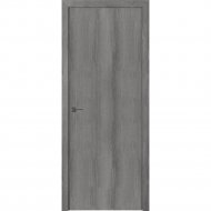 Дверь «Лайт» ДПГ Муссон, 200х70 см