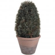 Искусственное растение «Canea» Туя, в горшке, XD16-915