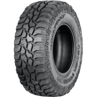 

Шина авт."NOKIAN"(245/70R17,119/116Q)