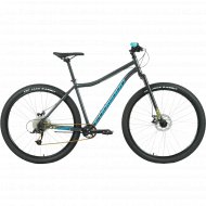 Велосипед «Forward» Sporting 29 X 2020-2021, RBKW1M198012, 19, темно-серый/зеленый