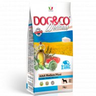 Корм для собак «Adragna» Dogwe, рыба с рисом, 3 кг