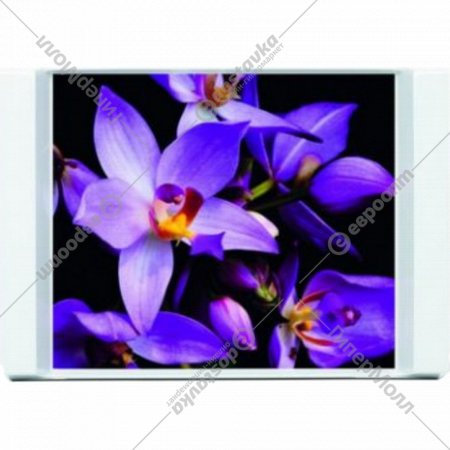 Поднос «Emsa» Orchids, 509411, 44х32 см