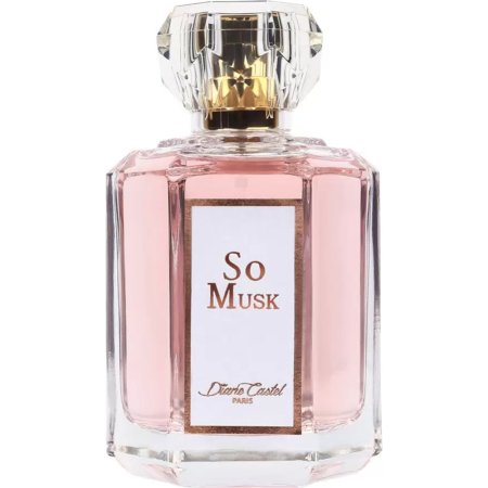 Парфюмерная вода женская Diane Castel AM Diff So Musk, 100 мл