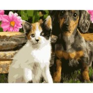 Алмазная живопись «Darvish» Котенок и щенок, DV-9516-19, 20х30 см