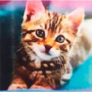 Алмазная живопись «Darvish» Милый котенок, DV-13760-21, 30х30 см