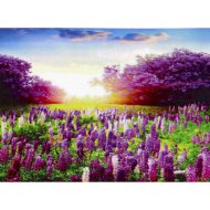 Алмазная живопись «Darvish» Цветочное поле, DV-9518-2, 40х50 см