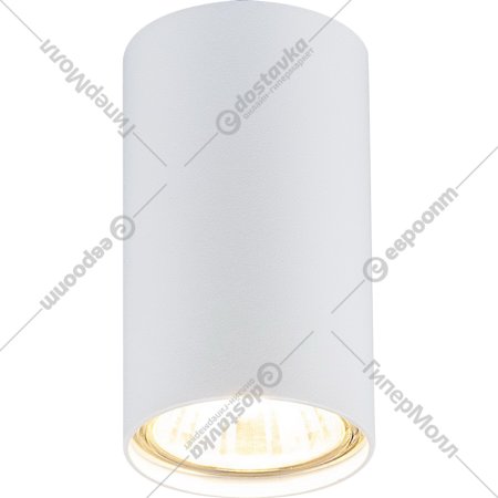 Точечный светильник «Elektrostandard» 1081 GU10 WH, 5255