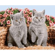 Набор для рисования «Darvish» по номерам, Два котенка, DV-9519-18, 30х20 см