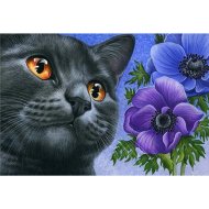 Набор для рисования «Darvish» по номерам, Кот с цветами, DV-9519-5, 30х20 см