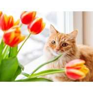 Набор для рисования «Darvish» по номерам, Кошка с цветами, DV-9520-4, 40х30 см