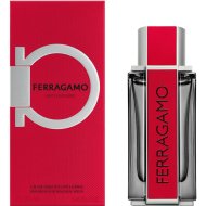 Парфюмерная вода мужская «Ferragamo» Red Leather, 100 мл