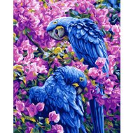 Набор для рисования «Darvish» по номерам, Попугаи в цветах, DV-9521-7, 40х50 см