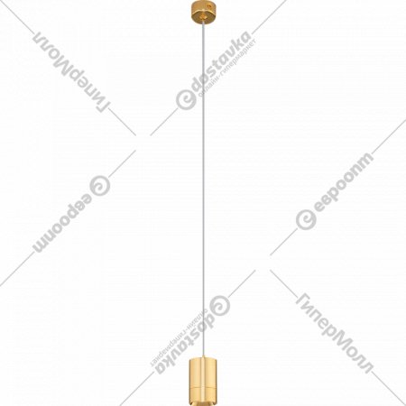 Подвесной светильник «Евросвет» 50248/1, a061426, LED, золото