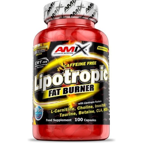 БАД «Amix» Lipotropic Fat Burner, 100 капсул