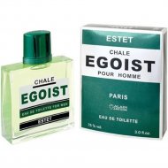 Туалетная вода мужская «Positive Parfum» Chale Egoist Estet, 90 мл