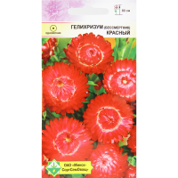

Семена "ГЕЛИХРИЗУМ КРАСНЫЙ" 2г