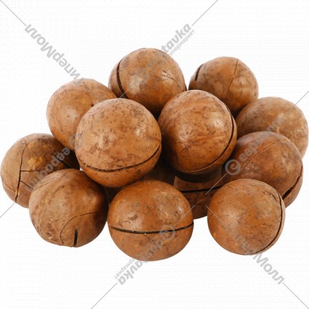 Орех макадамии в скорлупе жареный, 1 кг, фасовка 0.15 кг