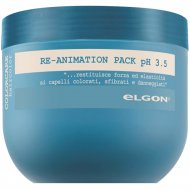 Маска для волос «Elgon» Color Care, Re-Animation, 519889, 500 мл