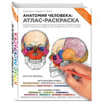 

Книга "АНАТОМИЯ ЧЕЛОВЕКА:АТЛАС-РАСКР"