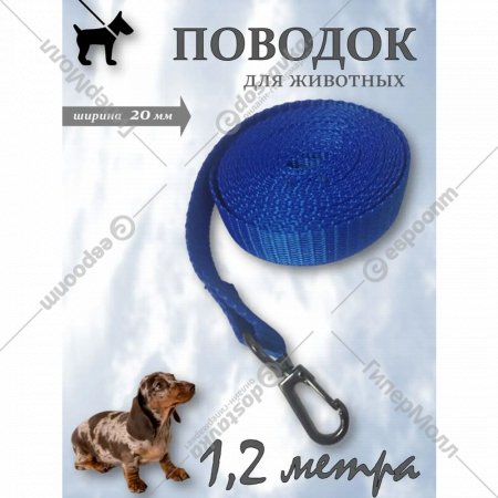 Поводок для кошек и собак «Омегафарм» OMF2402, василек, 1.2 м x 2 см + карабин средний темный никель