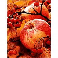 Картина по номерам «Lori» Осенние яблоки, Кпн-122, 28х38 см
