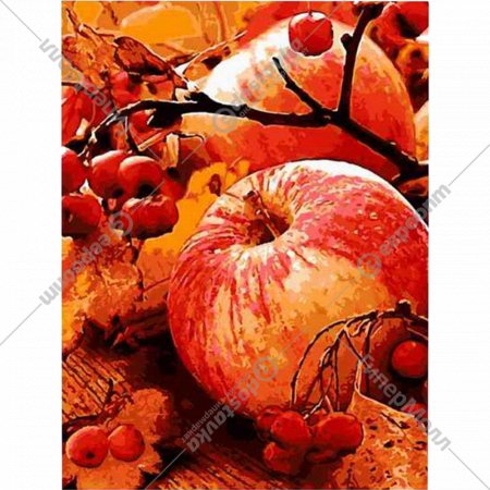 Картина по номерам «Lori» Осенние яблоки, Кпн-122, 28х38 см