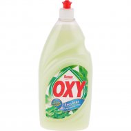 Бальзам для мытья посуды «Romax» Oxy, алоэ вера, 900 г