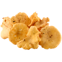 

Лисички 400г