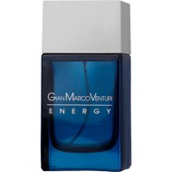 Туалетная вода мужская «Gian marco venturi» Uomo Energy, 100 мл