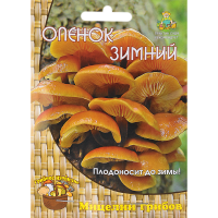 

Семена "ОПЕНОК ЗИМНИЙ"(12 шт)