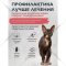 Корм для кошек «Brit» Care Cat Adult Delicious Taste, индейка/утка, 1.5 кг