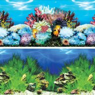 Декорация для аквариума «Laguna AQUA» У берегов Австралии/Холмистая долина, 400х800 мм, 74064094