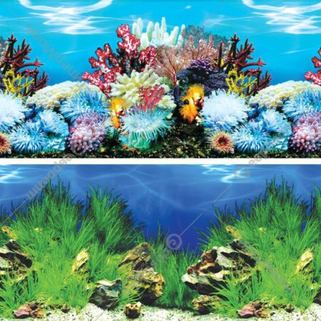 Декорация для аквариума «Laguna AQUA» У берегов Австралии/Холмистая долина, 400х800 мм, 74064094
