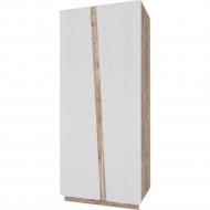 Шкаф для одежды «Мебель-КМК» 2Д Лайт, КМК 0551.8, дуб юкон/дуб полярный