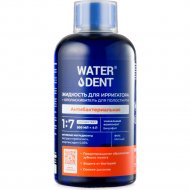 Жидкость для ирригатора «Waterdent» Антибактериальная, 2в1, 500 мл