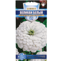 

Цинния "ВЕЛИКАН БЕЛЫЙ" 0.3 г