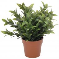 Икусственное растение «Belbohemia» 317002020, в горшке, 22 см