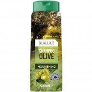 Шампунь для волос питательный «Gallus» оливковый, 500 мл
