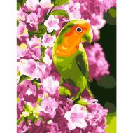 Картина по номерам «Lori» Весенний попугайчик, Кпн-014, 28х38 см
