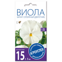 

Виола "БАРХАТ СЕРЕБРЯНЫЙ"1г