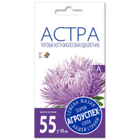 

Астра "ТИГРОВЫЕ КОГТИ" (темно-фиол.) 3г