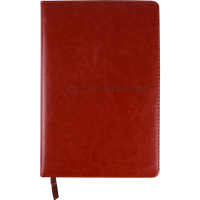 

Ежедневник "DARVISH" (120л,DV-12581)крас