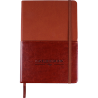 

Ежедневник "DARVISH" (140л,DV-12584)оран