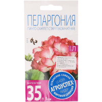 

Пеларгония"ПИНТО СКАРЛЕТ"(Стар)4шт