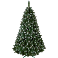 

Сосна искус."ХРУСТАЛЬНАЯ"(сер)1.0 м