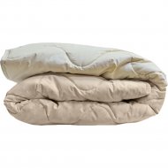 Одеяло «Файбертек» Ш.2.01, стеганное, двойное, 205х172 см