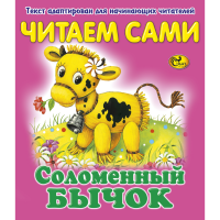 

Книга "ЧС СОЛОМЕННЫЙ БЫЧОК"