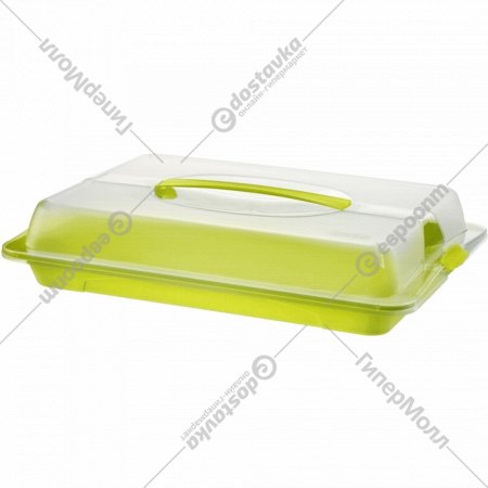 Контейнер для пирожных «Rotho» John Medium, прозрачный/зеленый, 1714605070, 9х43.5х29.5 см